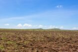 Gilgil Phase 10 – Prime Plots for Sale