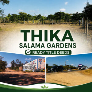 Salama Gardens Thika Plots for Sale